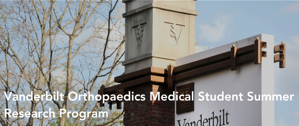 medical student summer research program vanderbilt university